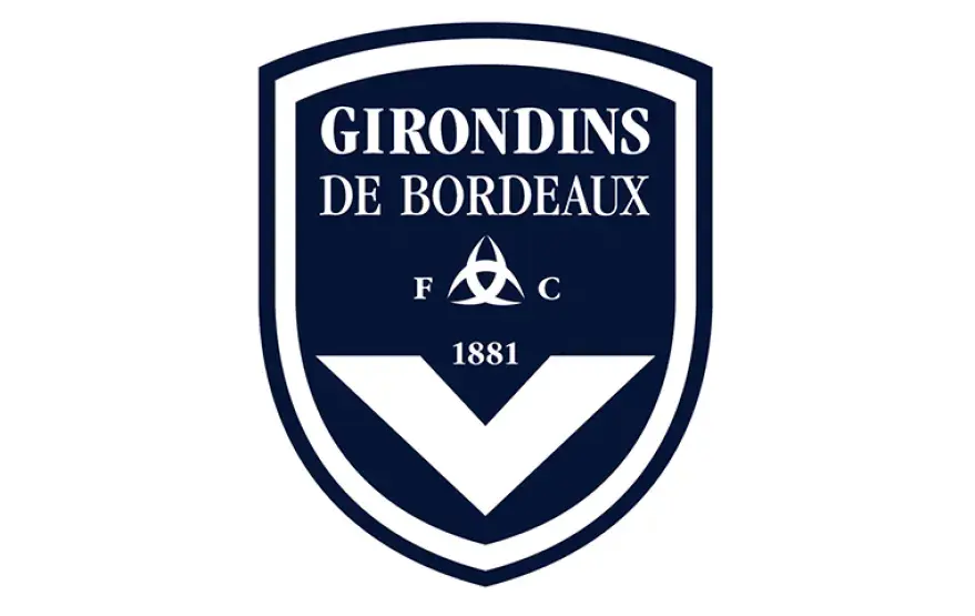 vignette-fcgb-ok.gif