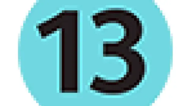 13